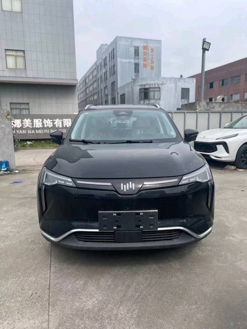 嘉兴23年威马汽车W61