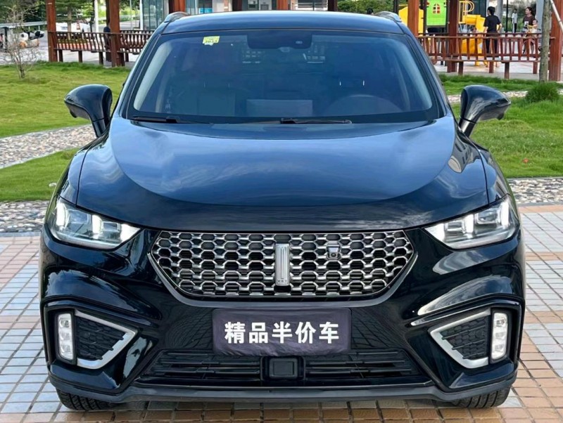 汕頭20年長城汽車WEY VV51