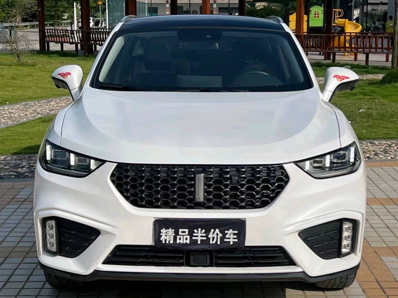 汕頭20年長城汽車WEY VV51