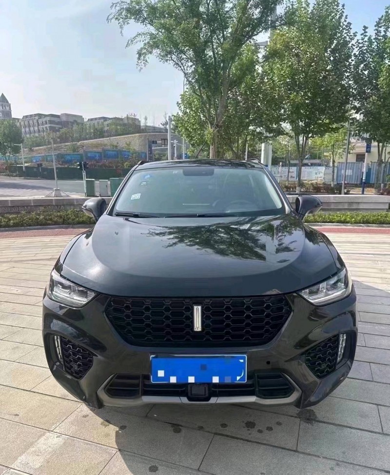 棗莊17年長城汽車WEY VV51