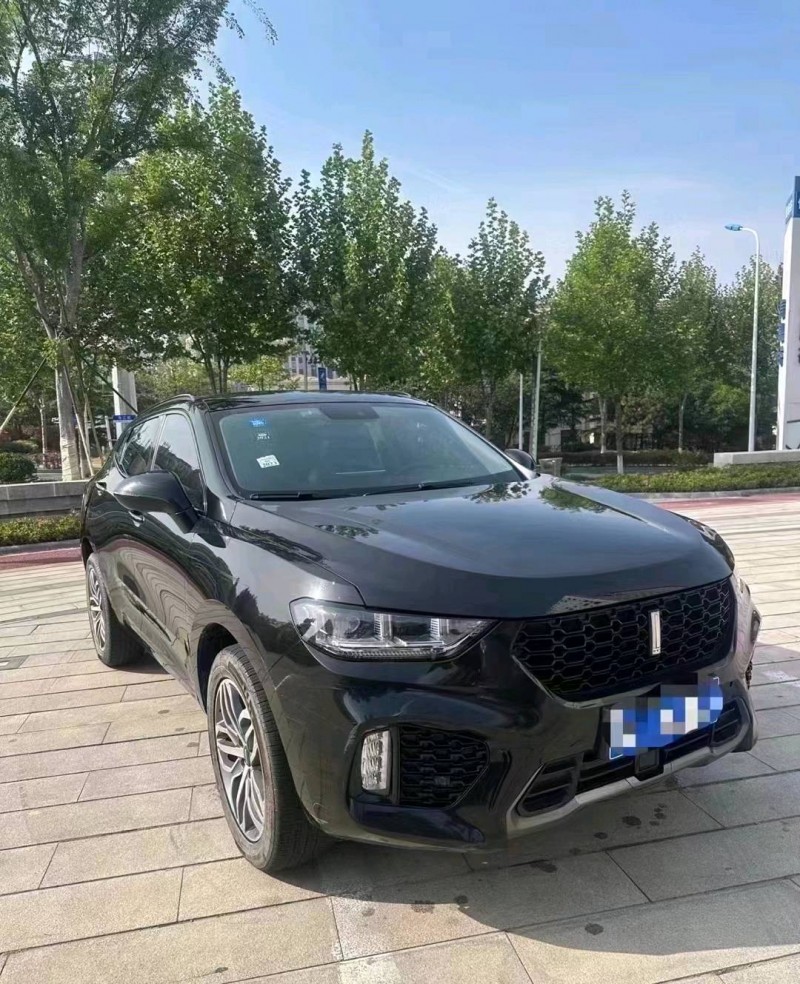 棗莊17年長城汽車WEY VV52