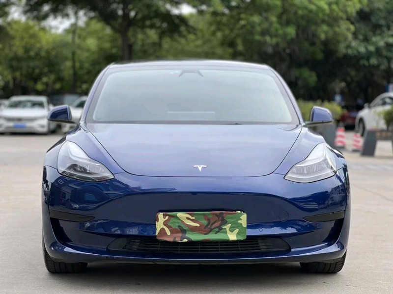 東莞21年特斯拉MODEL 31
