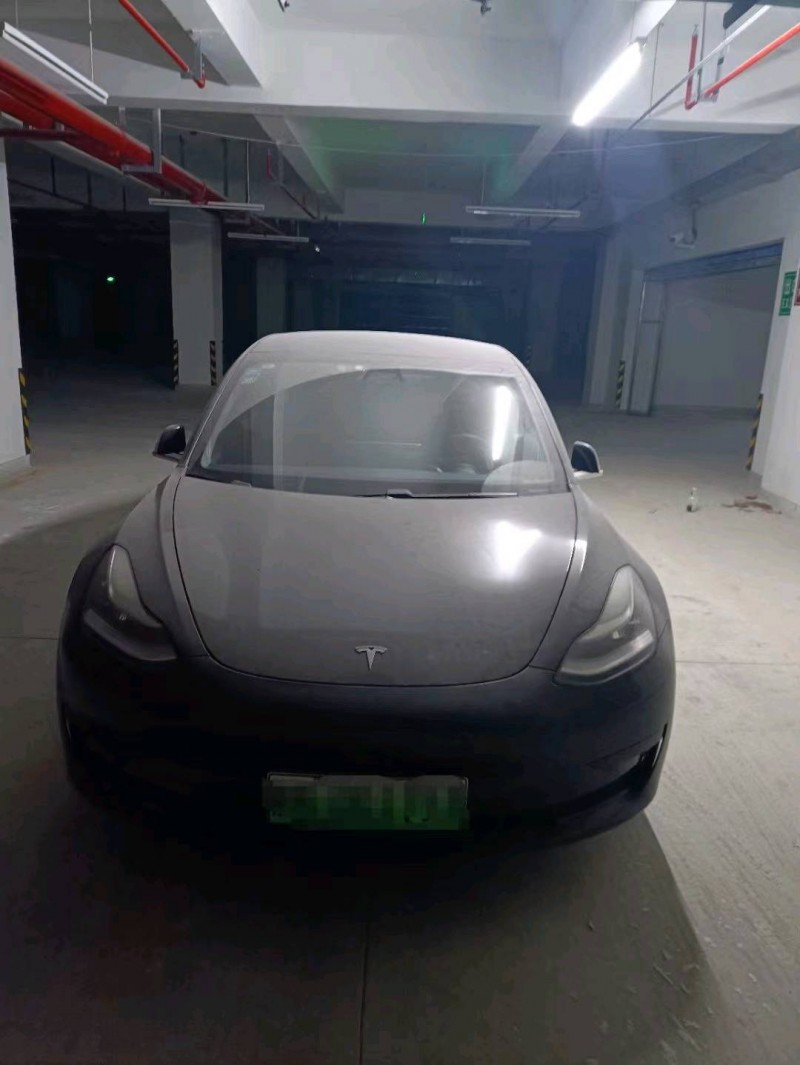 棗莊20年特斯拉MODEL 31