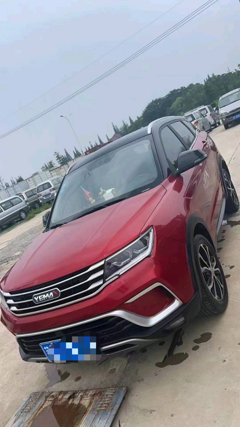 徐州20年野馬汽車博駿2