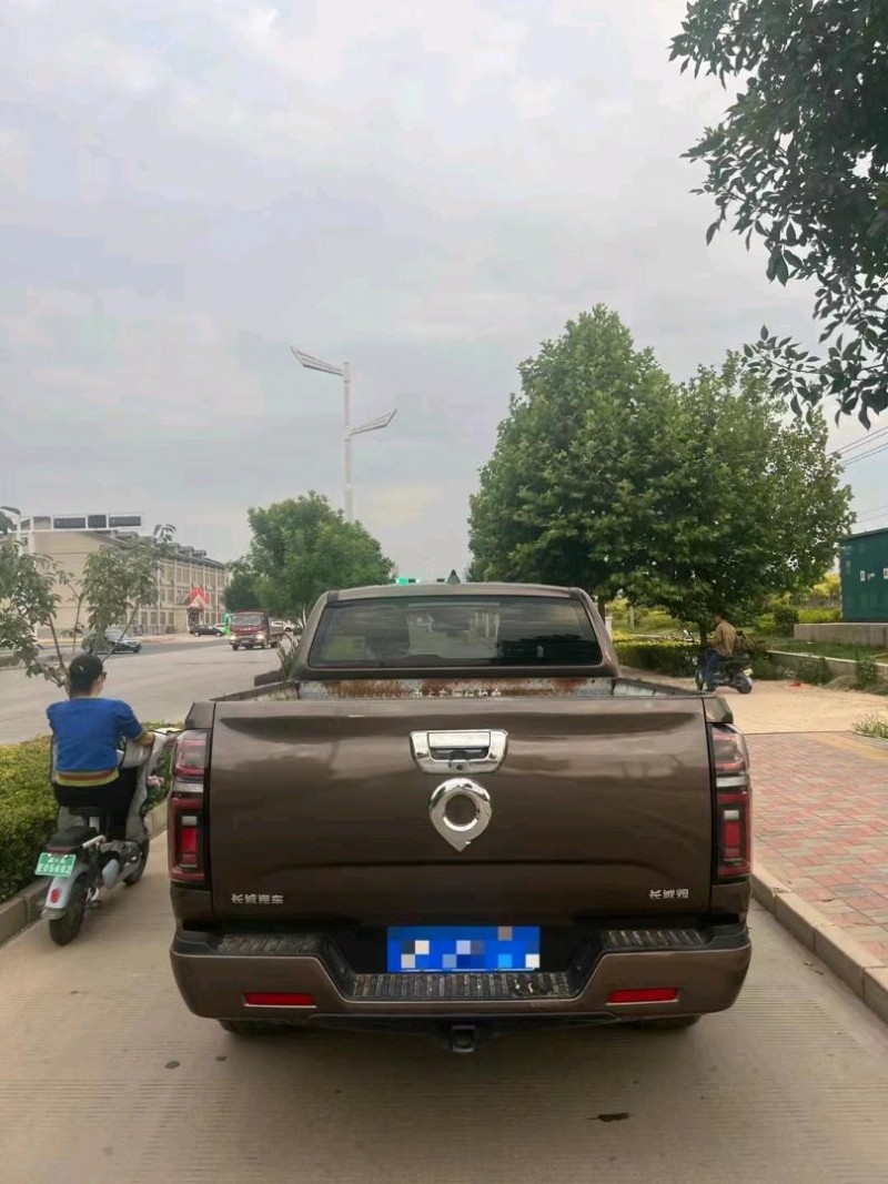 邯鄲20年長城汽車炮 皮卡8