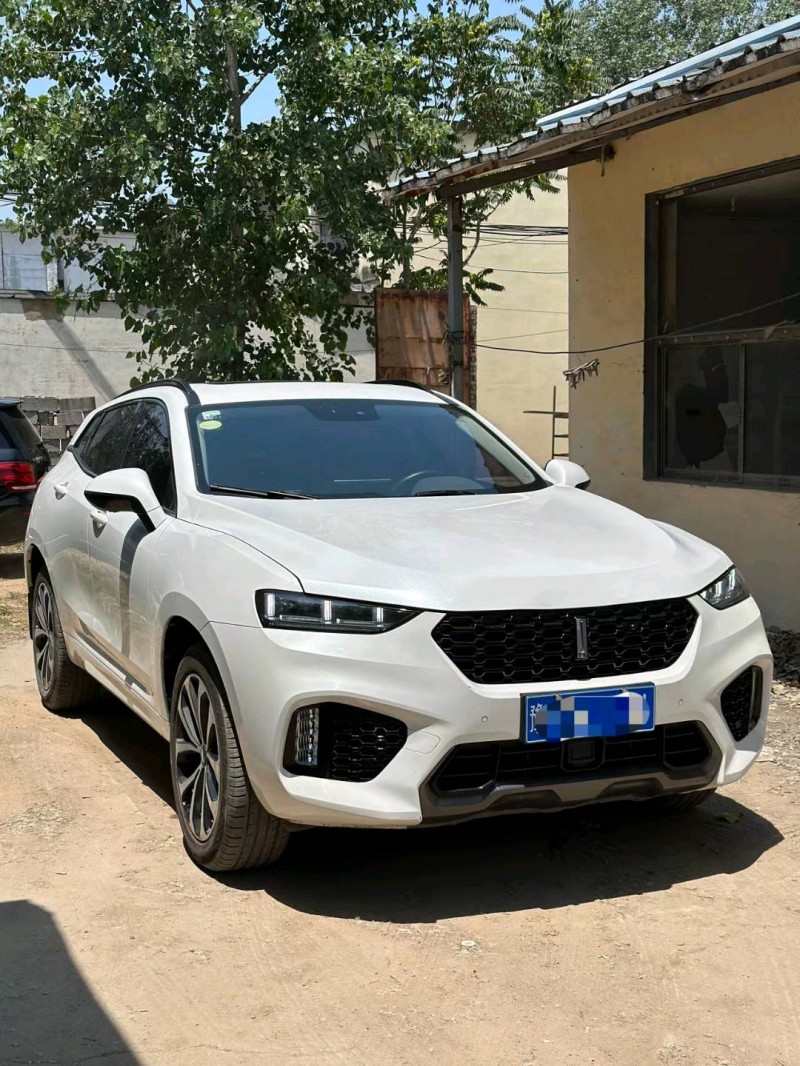 菏澤18年長城汽車WEY VV79