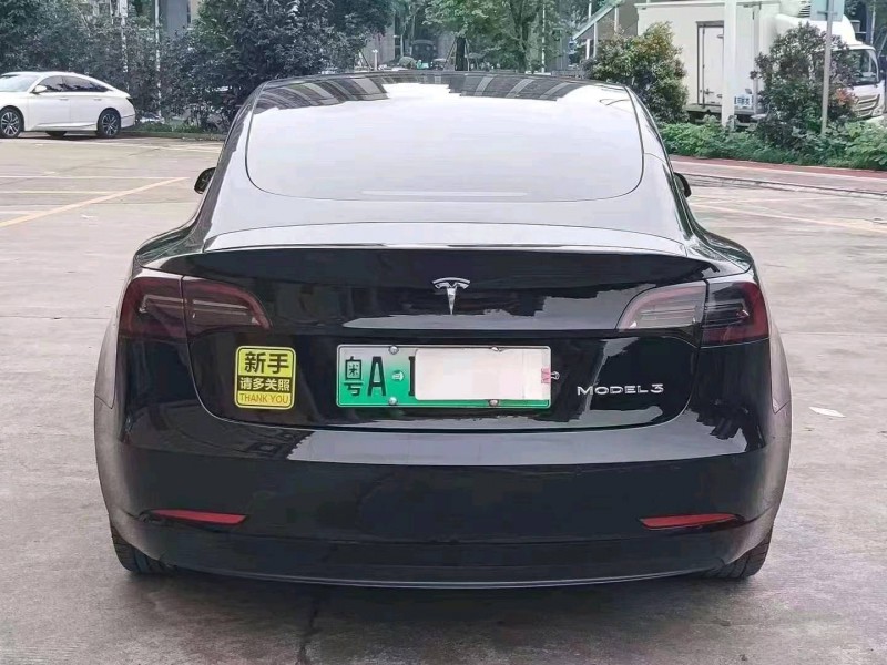 汕頭21年特斯拉MODEL 32