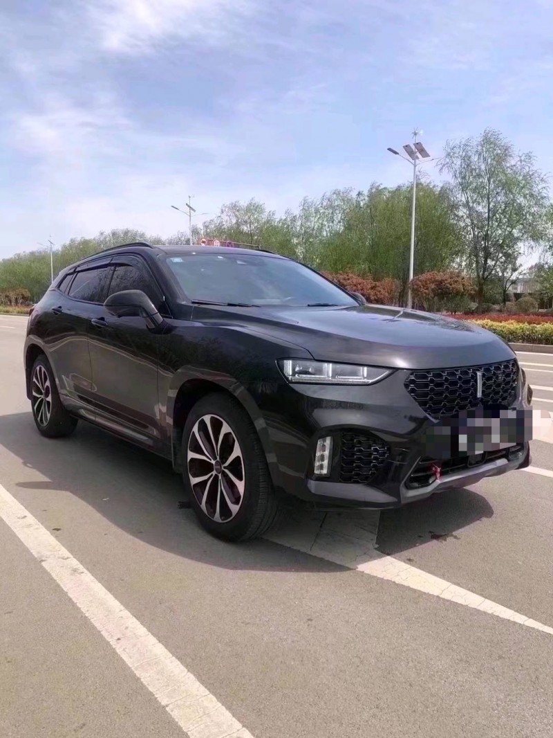 棗莊19年長城汽車WEY VV73
