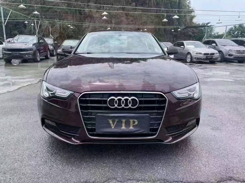 宜昌16年奥迪A51