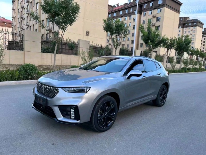 棗莊20年長城汽車WEY VV73