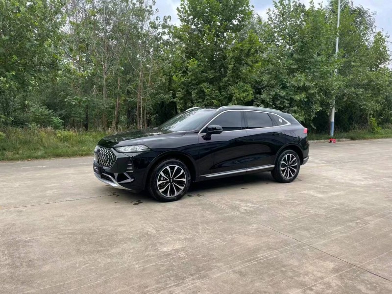 棗莊21年長城汽車WEY 摩卡6