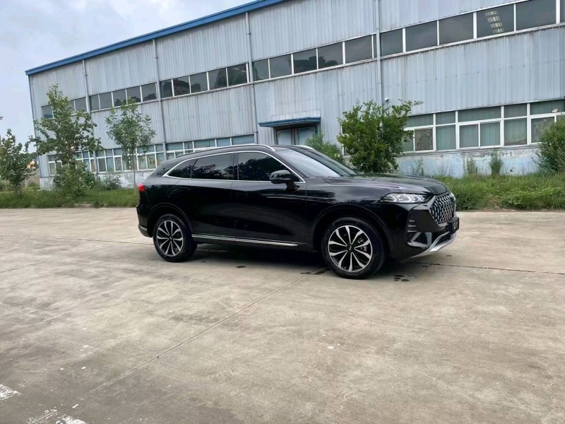 棗莊21年長城汽車WEY 摩卡9