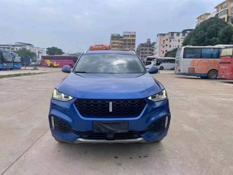 梧州19年長城汽車WEY VV61