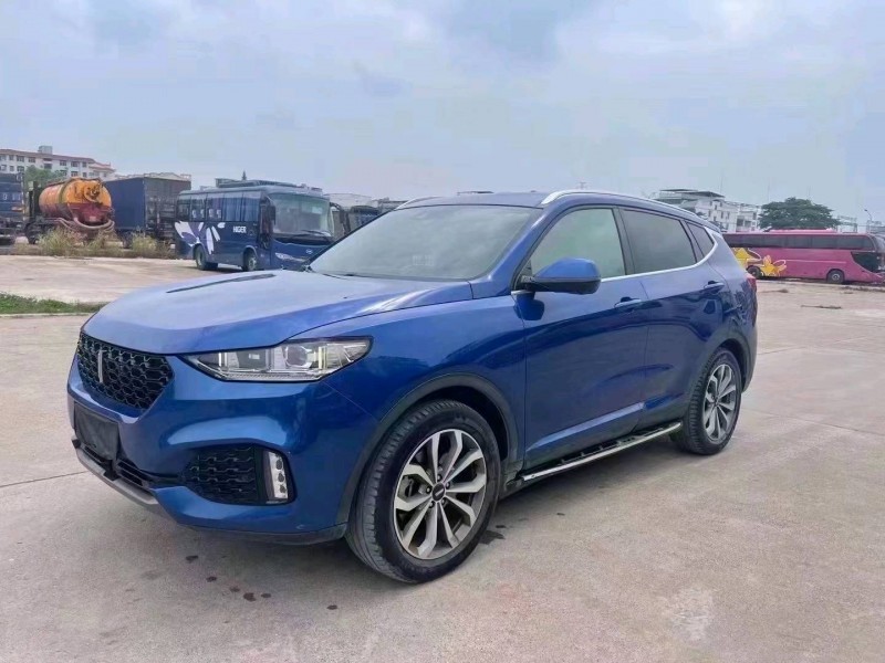 梧州19年長城汽車WEY VV62