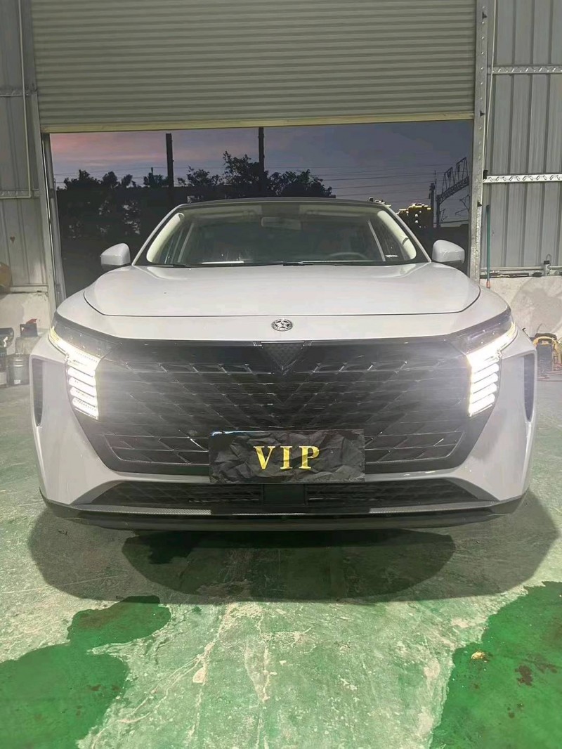 佛山23年啟辰大V1