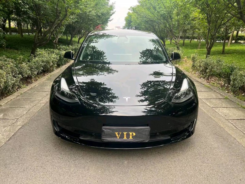 嘉興21年特斯拉MODEL 31