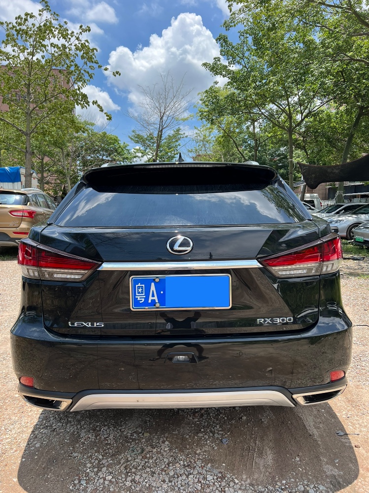 广州21年雷克萨斯RX8