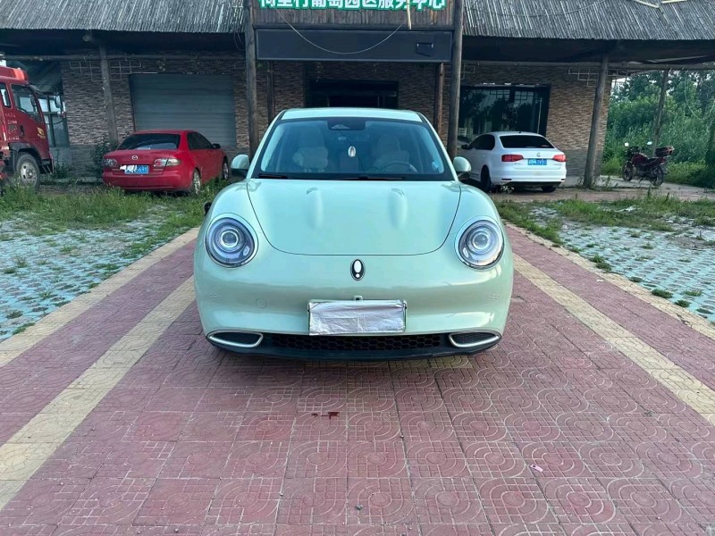 徐州22年長城汽車歐拉1