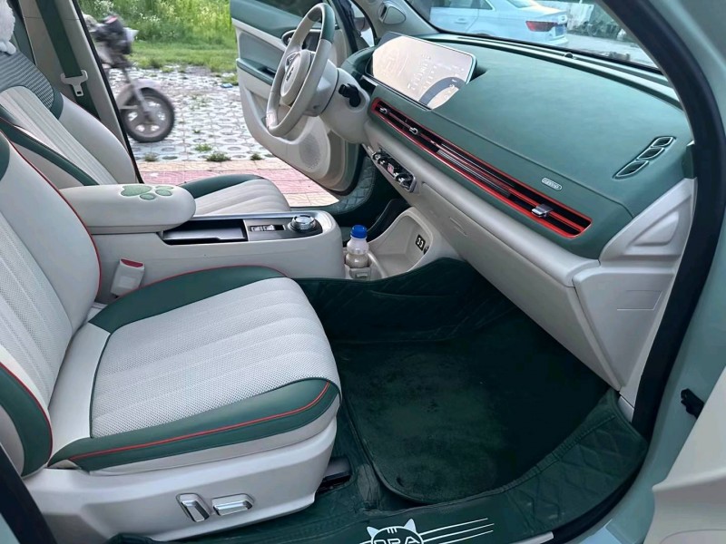 徐州22年長城汽車歐拉5