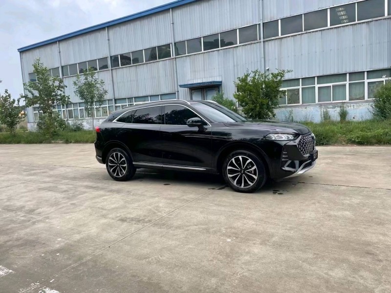 棗莊21年長城汽車WEY 摩卡7