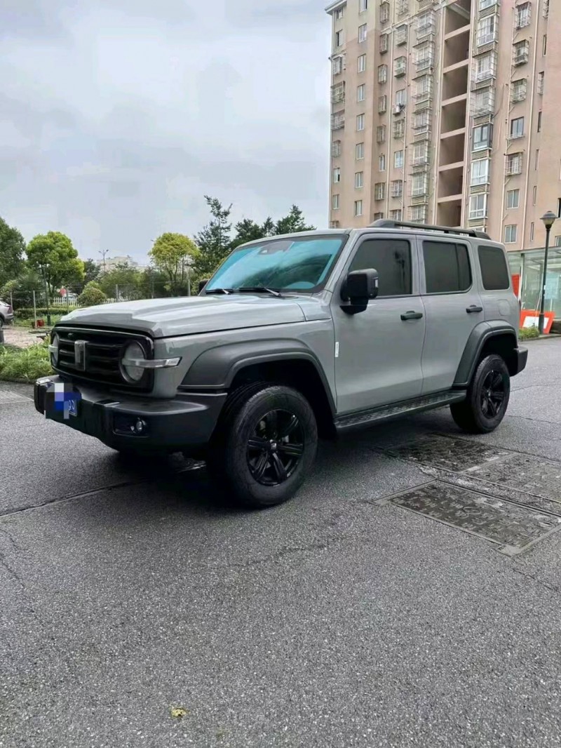 徐州23年長城汽車坦克3009