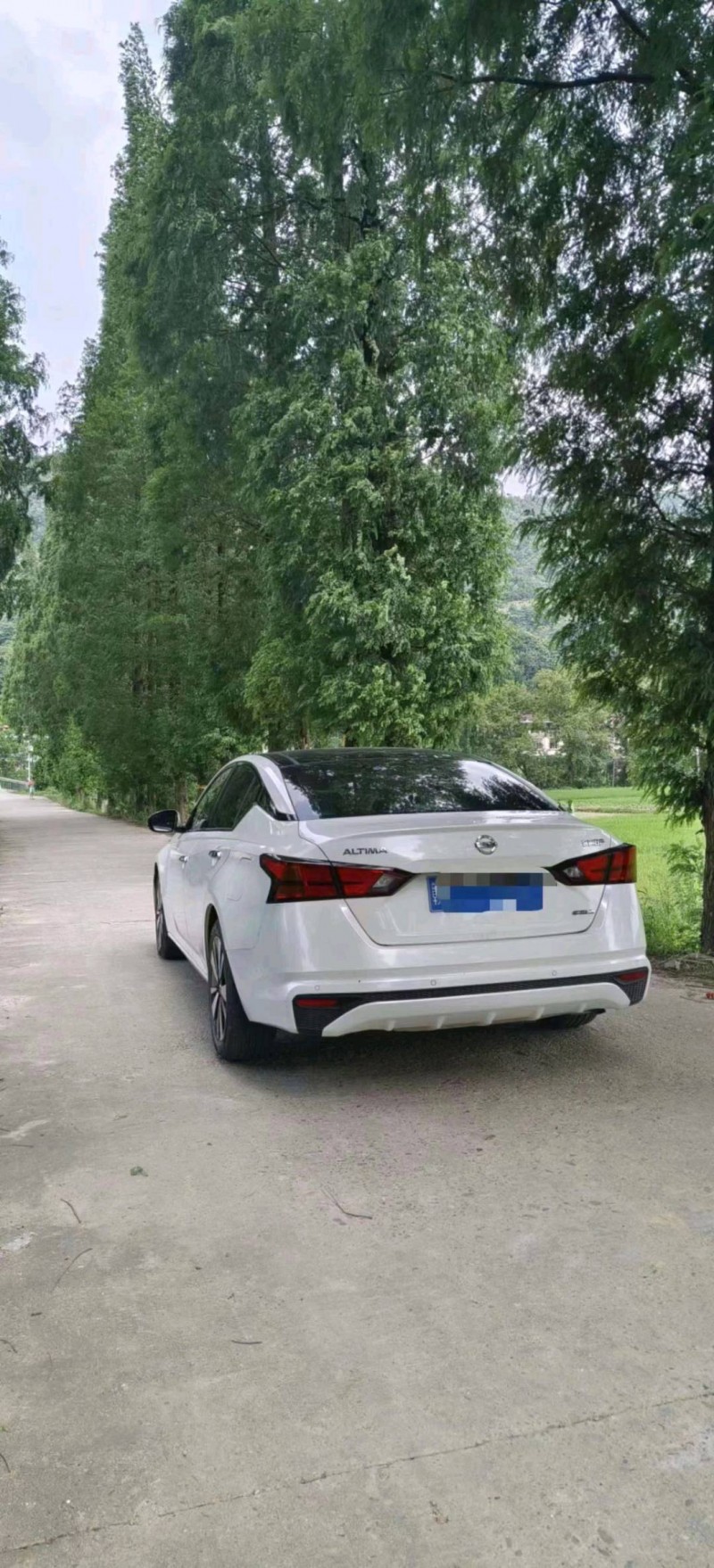 萍鄉21年日產天籟5