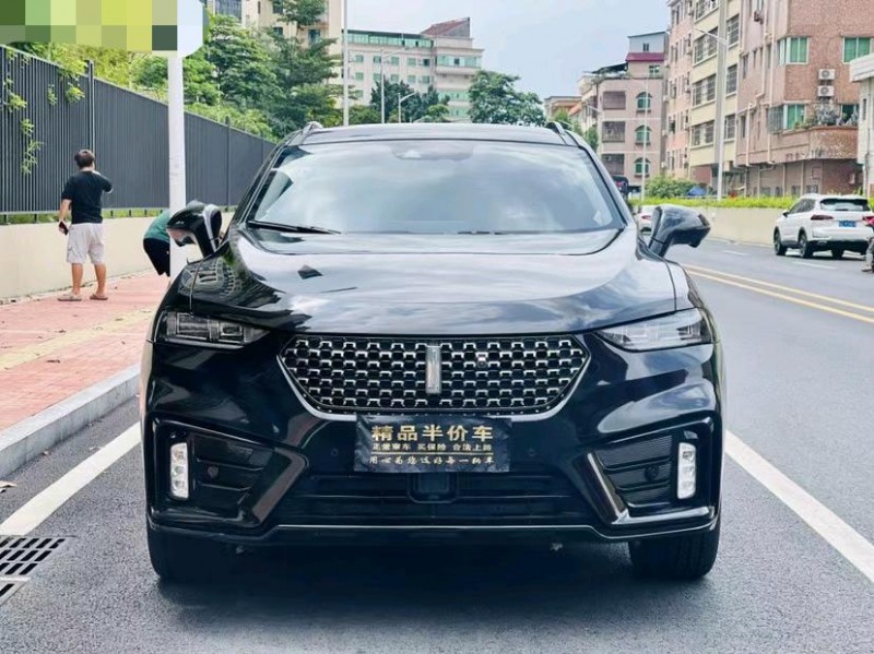 東莞19年長城汽車WEY VV71