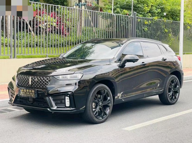 東莞19年長城汽車WEY VV72