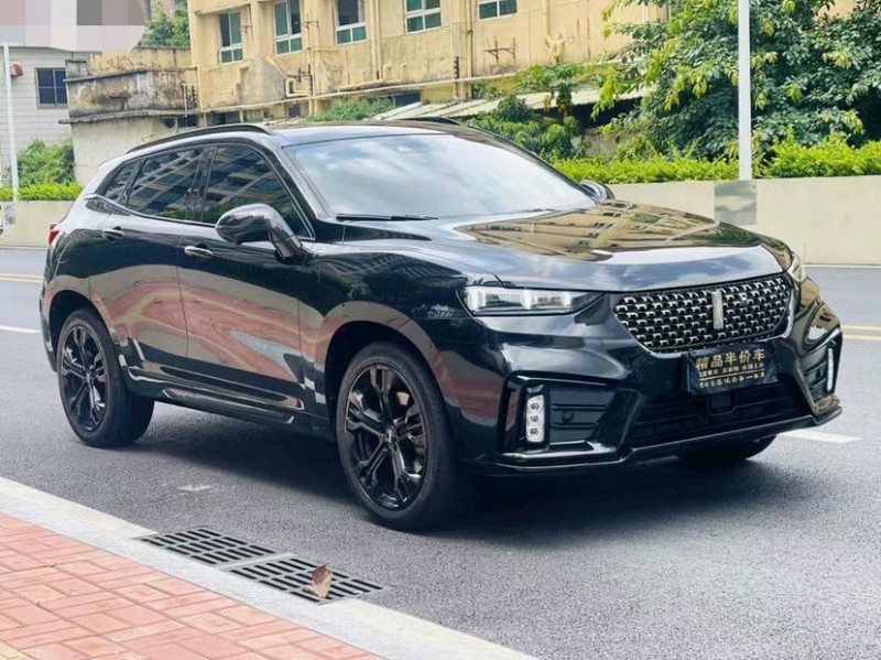 東莞19年長城汽車WEY VV73