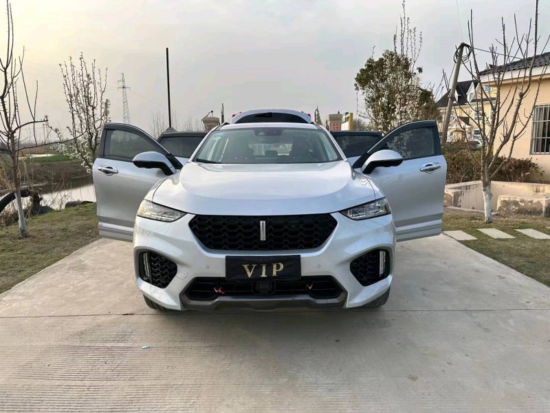 徐州18年長城汽車WEY VV77
