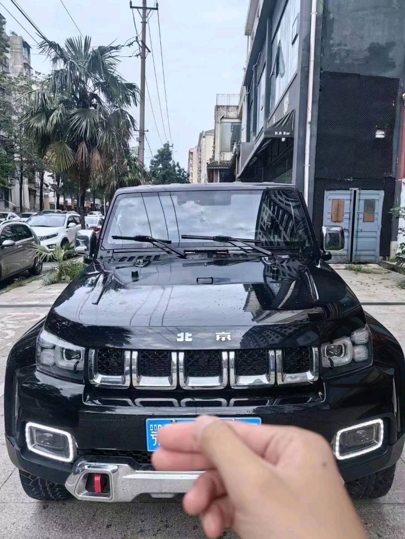 宜昌19年北京BJ401