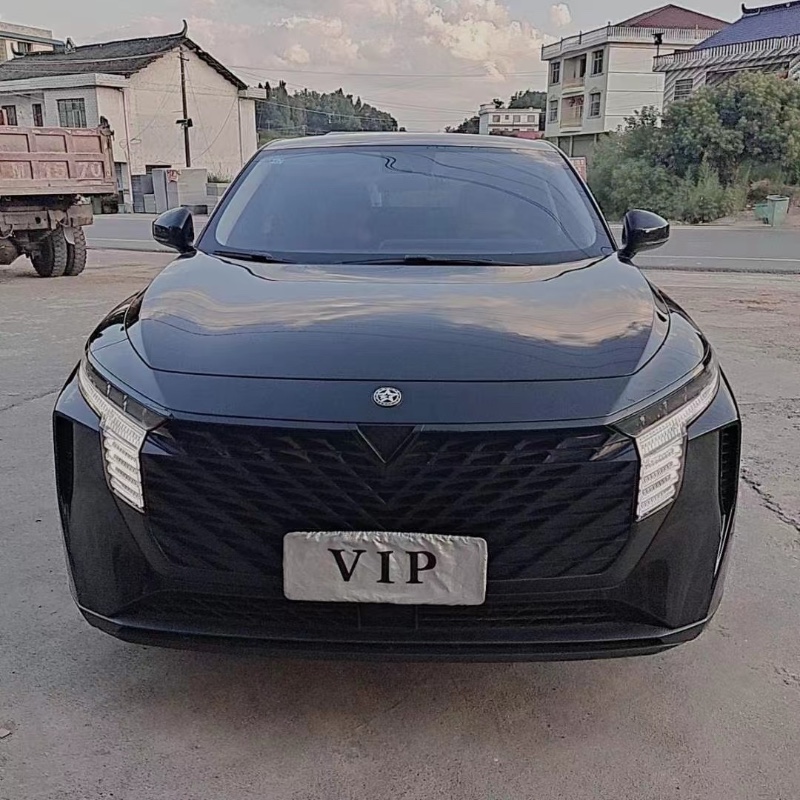 衡陽22年啟辰大V1