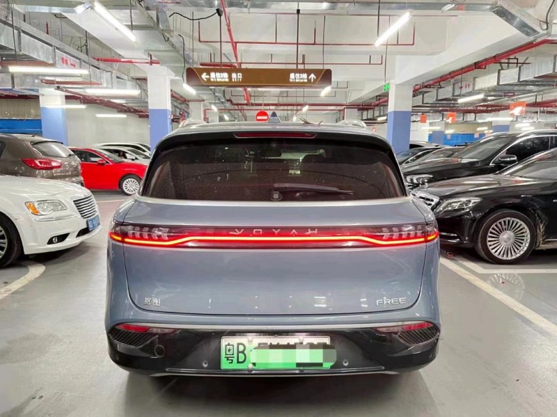 廣州22年嵐圖汽車FREE6