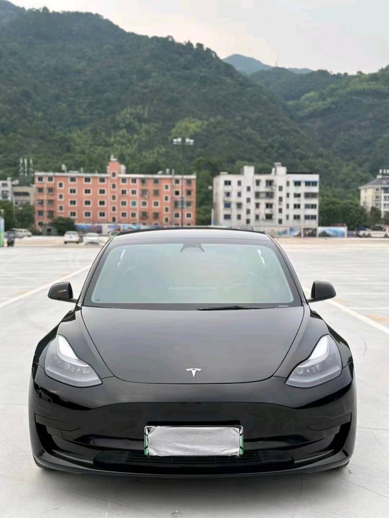 湖州21年特斯拉MODEL 31