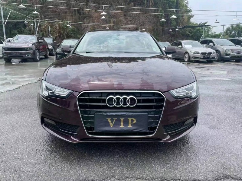 宜昌16年奥迪A51