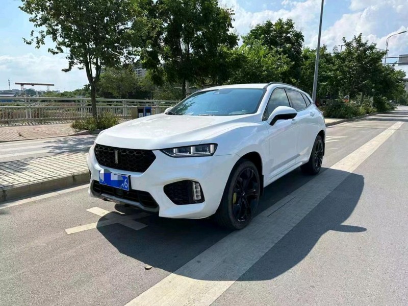 梧州17年長城汽車WEY VV74