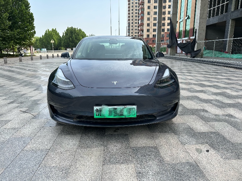 邢臺20年特斯拉MODEL 31