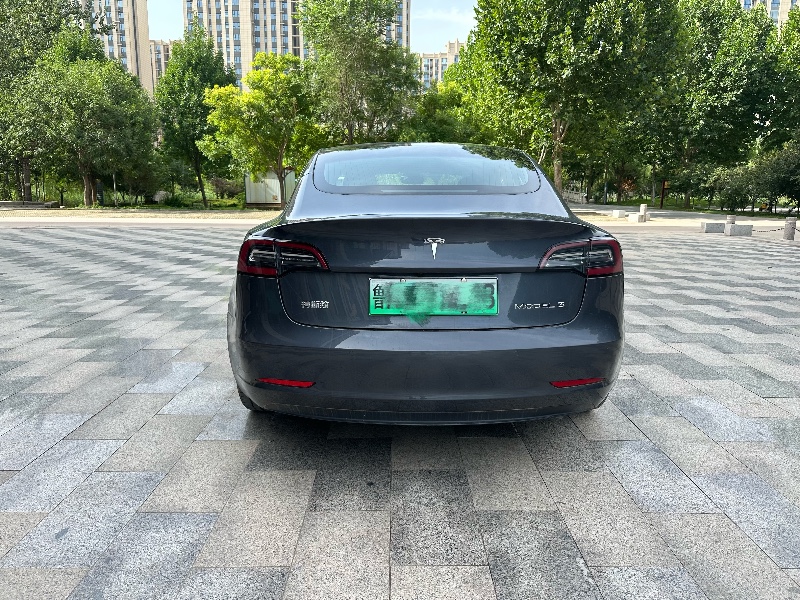 邢臺20年特斯拉MODEL 39