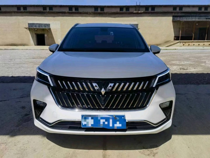 保定22年五菱汽車佳辰1