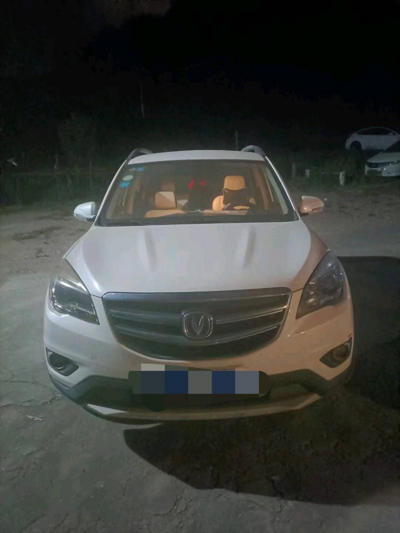 嘉興17年長安汽車CS351