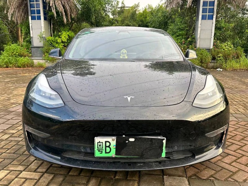 廣州19年特斯拉MODEL 31
