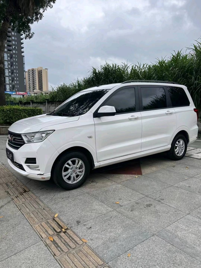 東莞20年五菱汽車宏光2