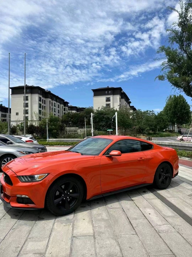 东营16年福特野马3