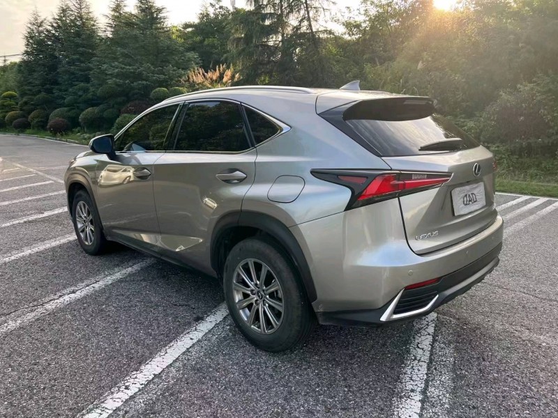 宜昌20年雷克萨斯NX6