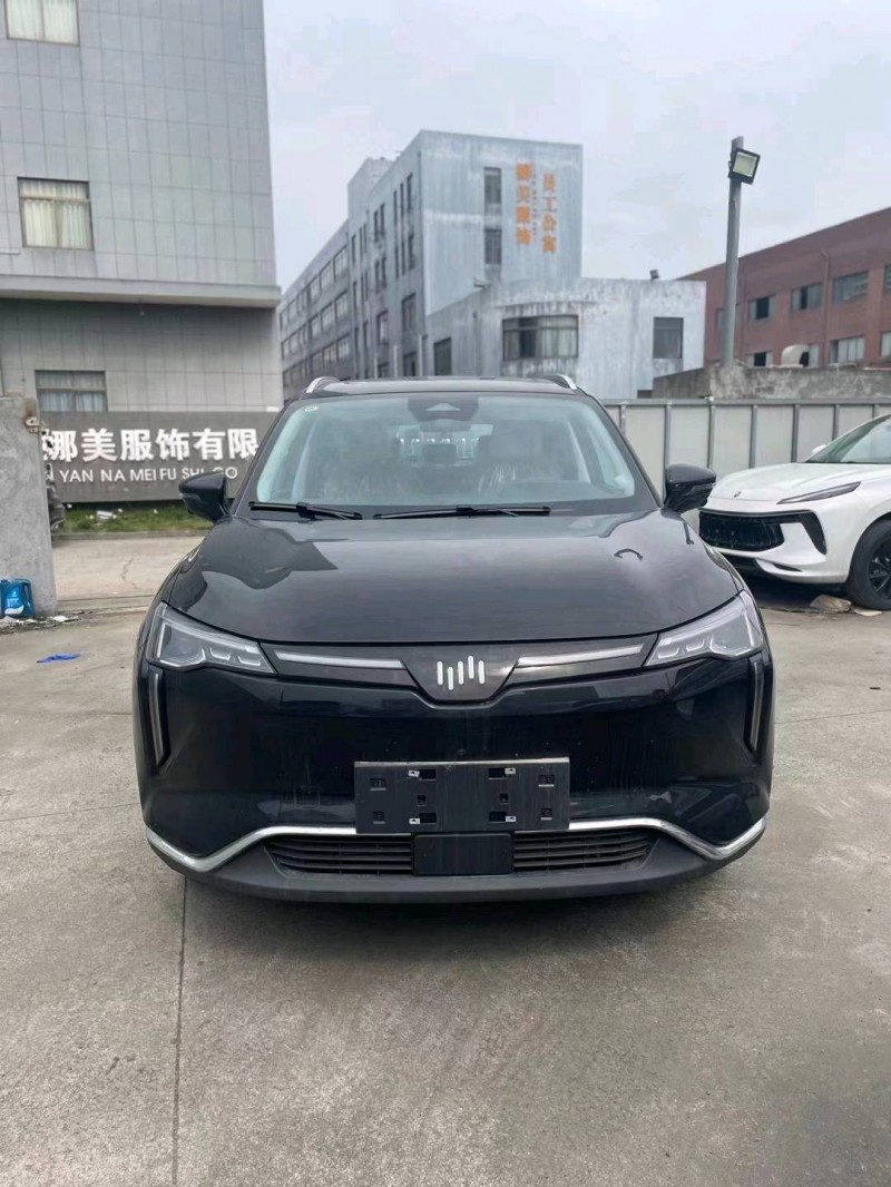 寧波23年威馬汽車W61