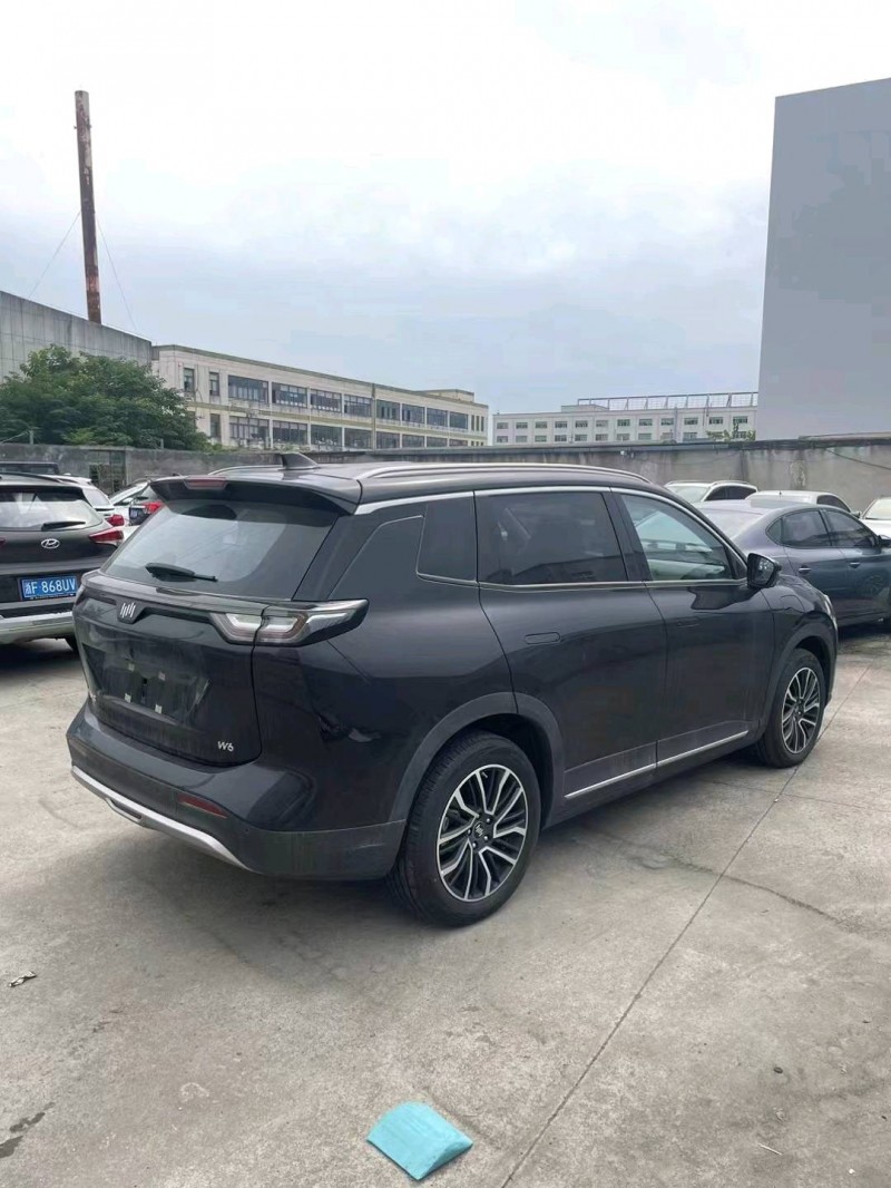 寧波23年威馬汽車W63