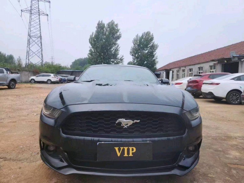 淄博18年福特野马1