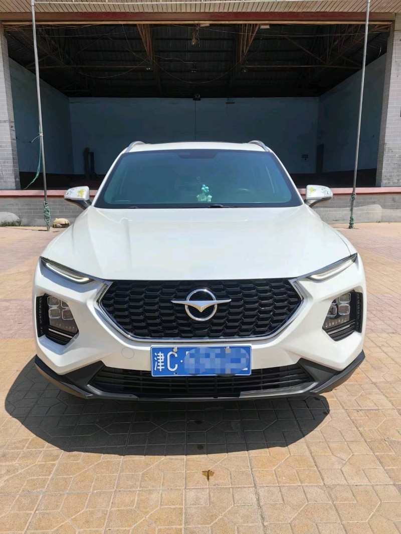 廊坊20年海馬S81
