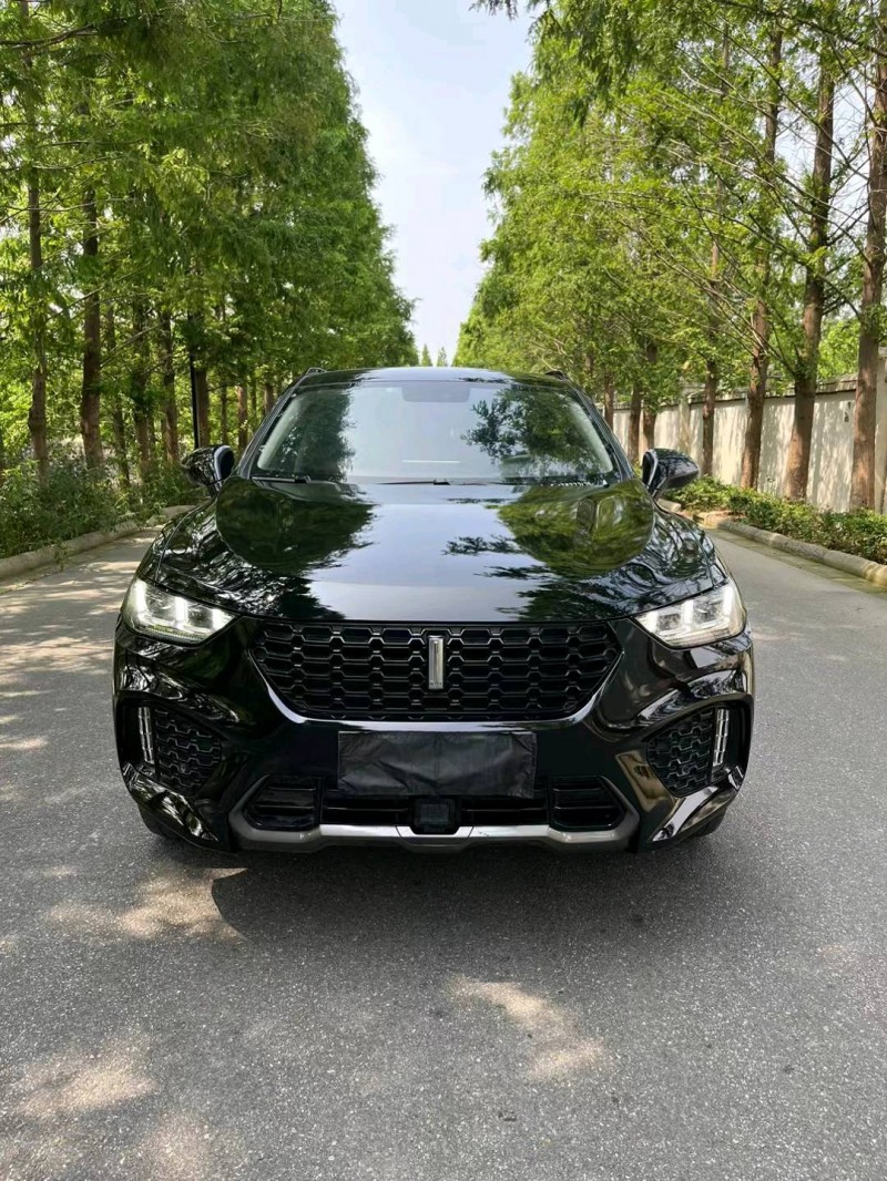 徐州18年長城汽車WEY VV51