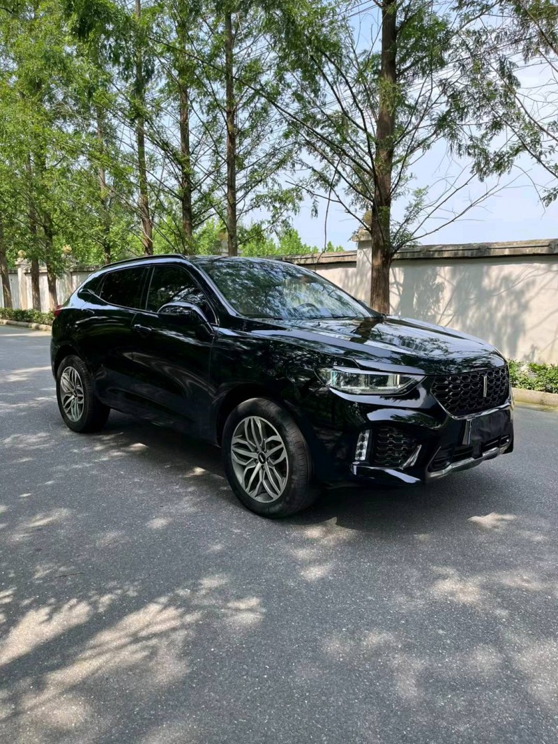 徐州18年長城汽車WEY VV52